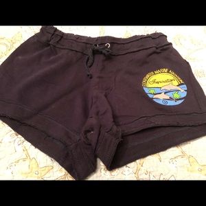 Clearwater Aquarium sweat shorts youth sz XL
